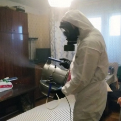 Дезинфекция от клопов в Зеленограде