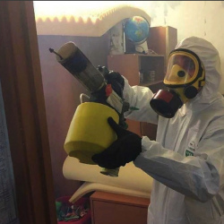 Уничтожение клопов в квартире. Зеленоград