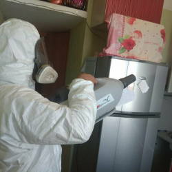 Уничтожение насекомых в квартире. Зеленоград